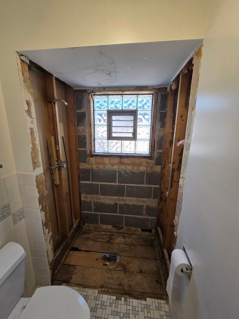 Bathroom demolition to studs